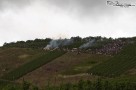 pk Kopecky vinice