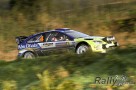 Irska_rally