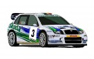 dudu wrc fabia